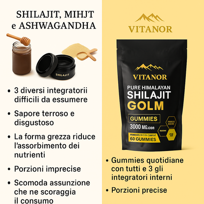 Vitanor™: Gomme Di Shilajit Pure