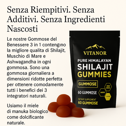 Vitanor™: Gomme Di Shilajit Pure